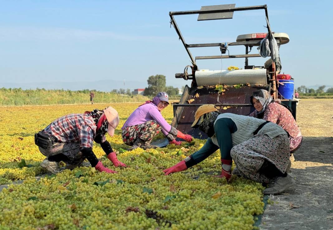 12 aylık emekte son dönemeç: 500 milyon dolar getiriyor 5